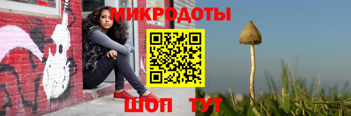 Галлюциногенные грибы MAGIC MUSHROOMS  Вход с VPN  Ногинск 